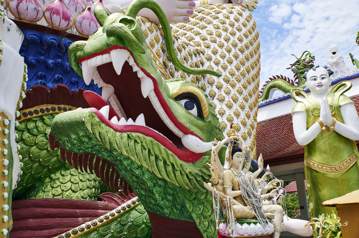 THAILANDIA 2019- 382